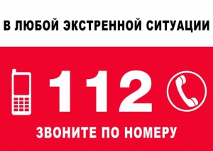 Самые необходимые телефоны для экстренных случаев
