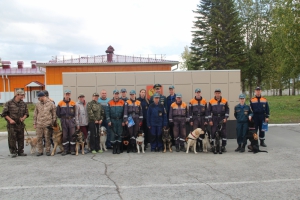 Кинологические расчеты из сибирских регионов допущены к поисковым работам (фото,видео)