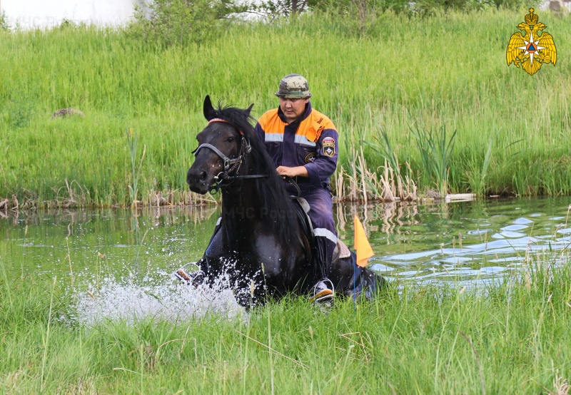 МЧС России поздравляет подразделения конной службы ведомства с профессиональным днем