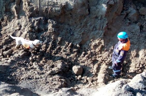 Кинологи МЧС России завершили поисково-спасательную операцию на месте обрушения грунта