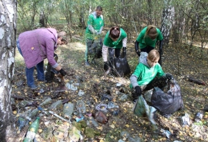 Акция «Чистый лес – территория без огня» показывает высокие результаты