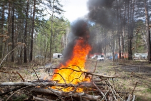 Сжигание сухой травы и мусора грозит пожарами. Специалисты  МЧС призывают граждан  соблюдать требования пожарной безопасности