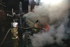 В Новосибирской области сотрудники МЧС России за неделю спасли 17 человек и ликвидировали более 200 пожаров (фото)