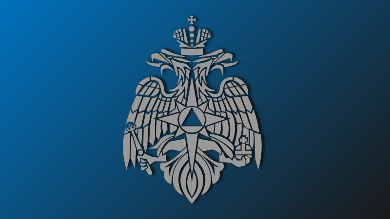 Невский спасательный центр проведет дезинфекцию соцобъектов Ленинградской и Псковской областей (видео)