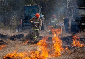 Всероссийская командно-штабная тренировка завершилась ликвидацией природных пожаров