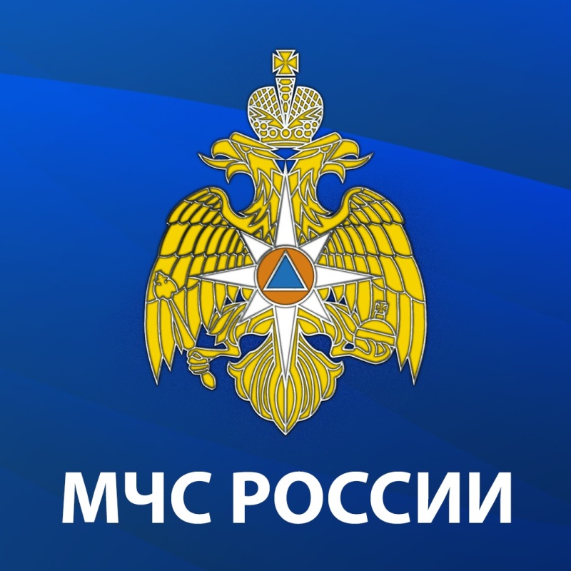 98-я гуманитарная колонна МЧС России выполнила свою задачу