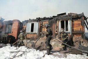 Крупный пожар в Новосибирской области локализован (фото)