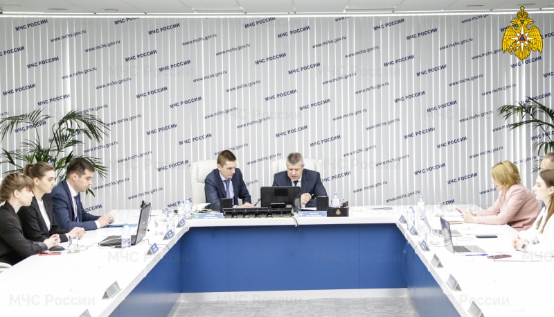 МЧС России приняло участие в заседании Рабочей группы БРИКС по управлению рисками стихийных бедствий
