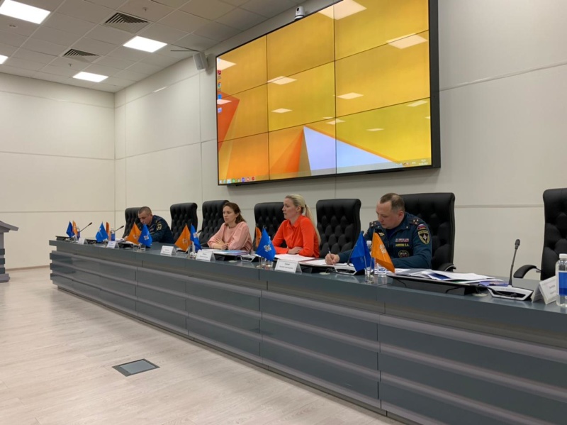 В МЧС России обсудили перспективы развития добровольчества в Российской Федерации