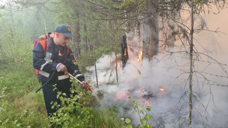 В Карелии основные усилия МЧС России сосредоточены на защите населенных пунктов и объектов экономики от природных пожаров