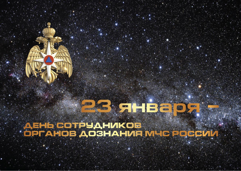 23 января – День сотрудников органов дознания МЧС России