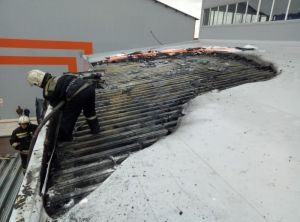 Сотрудники МЧС предотвратили распространение огня на крупном  складе  Новосибирска   