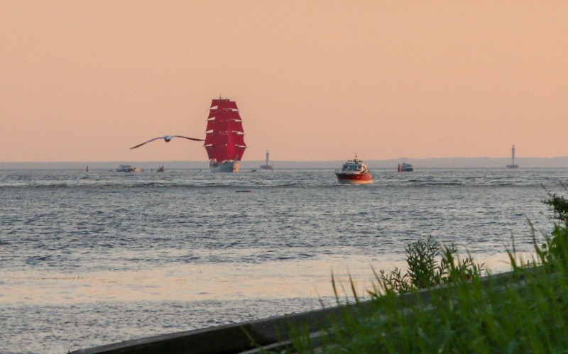 Представители пожарно-спасательного гарнизона Санкт-Петербурга приняли участие в обеспечение безопасности праздника выпускников "Алые паруса"