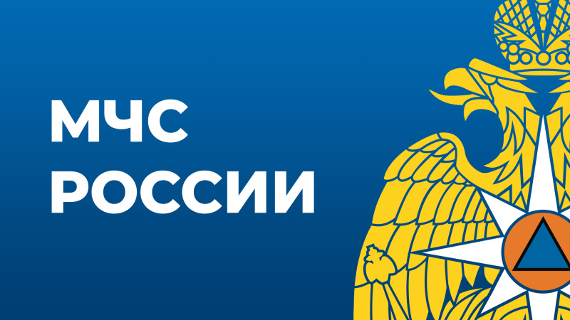 Указом Президента России присвоены классные чины государственной гражданской службы сотрудникам МЧС России