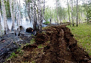 Высокая пожароопасность сохраняется в районах Новосибирской области