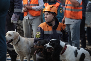 На месте обрушения стены в Новосибирске работают кинологи МЧС России (фото, видео, комментарий)