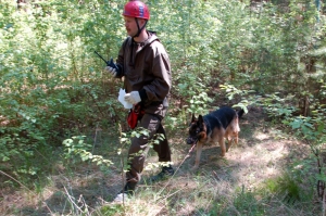 Спасатели дали полезные советы и рассказали, как ищут людей в лесу