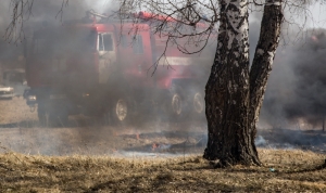 Синоптики прогнозируют пожароопасную погоду в трех районах Новосибирской области