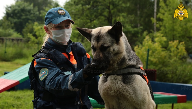 В составе МЧС России 24 года несут службу кинологические расчеты