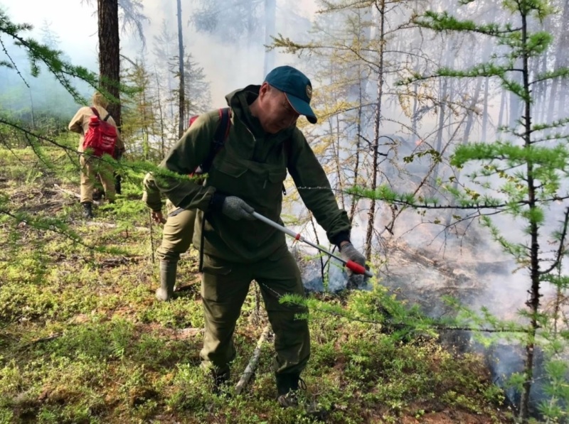 В Якутии за сутки ликвидировано 22 природных пожара на общей площади свыше 105 тыс. га