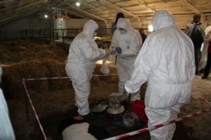 В Баганском районе провели учение с органами управления и силами ГО