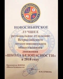 «Школа безопасности» Новосибирска признана лучшим региональным отделением Всероссийского детско-юношеского общественного движения