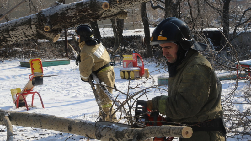 Жители Приморья, работники детских садов и школ поблагодарили спасателей